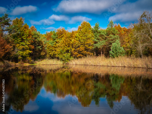 autumn, jesień , las, woda, forest © Iwona