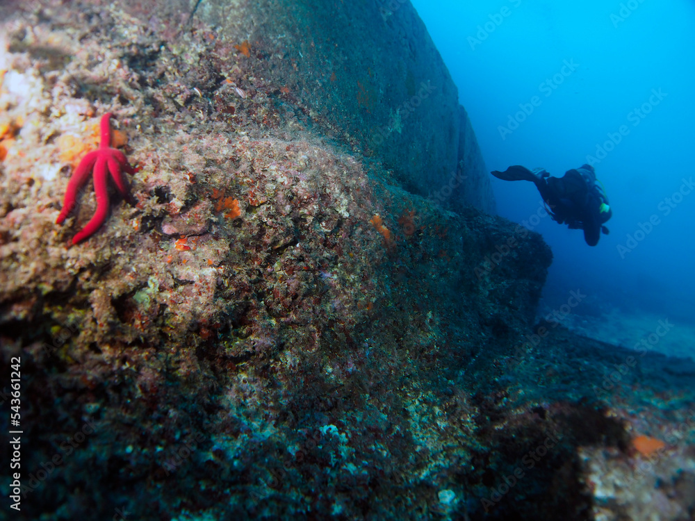 Fototapeta premium Scuba Diving and Underwater Photography Malta - Wrecks Reefs Marine Life Caverns Caves History