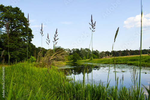 Rogalin Landscape Park. Warta in Rogalin, Poland