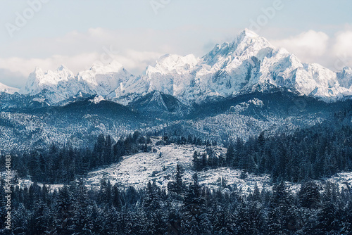 high snowy mountains with pine trees in winter
