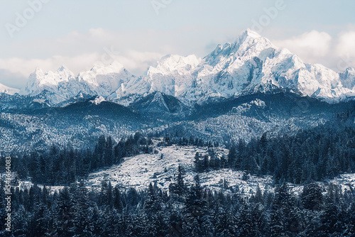 Photography high snowy mountains with pine trees in winter