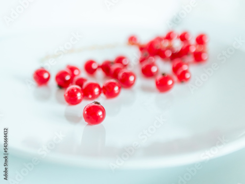 A bunch of red currants on a white background