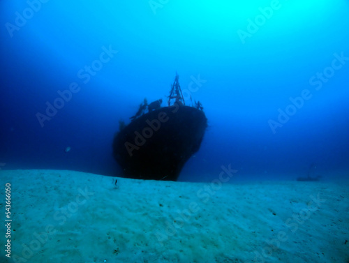 Scuba Diving and Underwater Photography Malta - Wrecks Reefs Marine Life Caverns Caves History © David