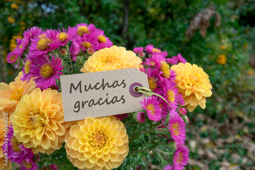 Greeting card with a bouquet of autumn flowers and spanish text: Thank You