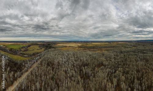 Drone view high above a forest with no leaves. Farm fields can be seen in the distance. The sky is full of dramatic clouds. 