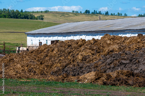 A pile of manure on the farm.
