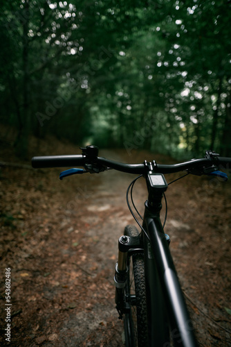 First-person view cycling in the forest. Close-up of a mountain bike handlebar. Summertime outdoor leisure sport activity concept. © AlexGo