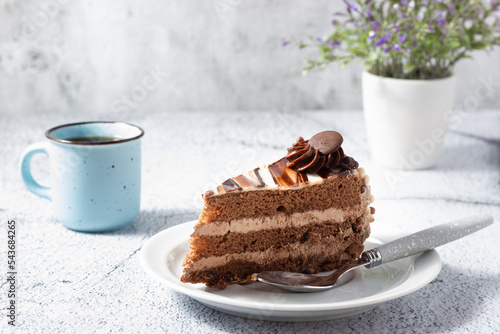 Delicious chocolate cake with fluffy cocoa sponge and marble effect icing with a cup of coffee.