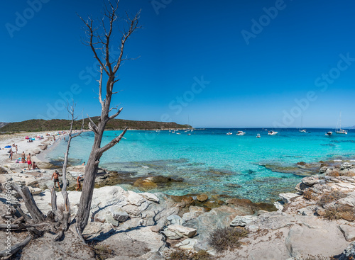 Corsica is an island paradise wiht a transparent turquoise sea photo