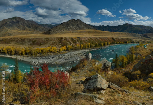 Russia. South of Western Siberia, the Altai Mountains. Picturesque high-altitude view in autumn colors of the Katun River near the village of Maly Yaloman.