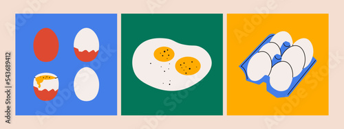 Chicken egg set. Cartoon boiled raw fried egg yolk carton boxes, broken eggshell protein organic food. Vector collection