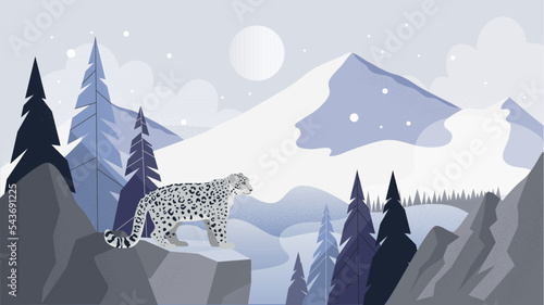 Young snow leopard in the snowy mountain