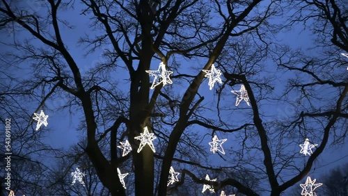 Glowing stars on a tree in the park. Christmas decoration in the city. photo