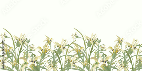 Floral seamless border. Vector design for paper and other use