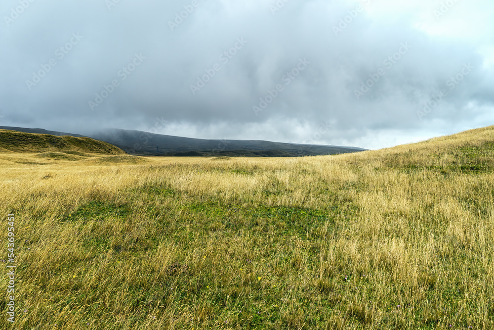 Ecuador, Cotopaxi National Park, grassland landscape Ecuador, Cotopaxi National Park, grassland landscape