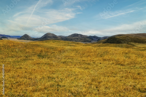  Ecuador  Cotopaxi National Park   grassland landscape