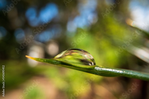 Macro shot of Water Droplet