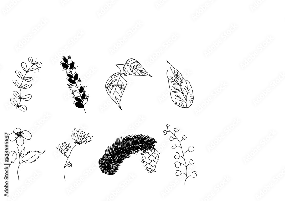 Vector line illustration with wildflowers set