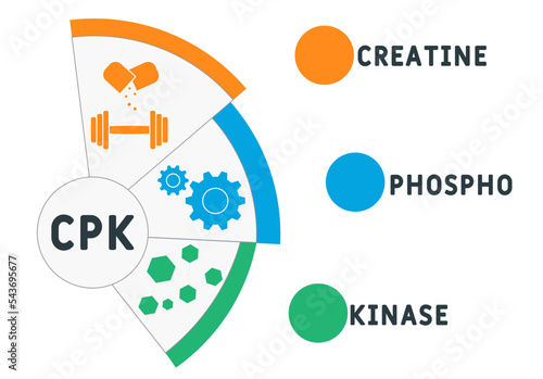 CPK Creatine Phosphokinase  acronym. business concept background.  vector illustration concept with keywords and icons. lettering illustration with icons for web banner, flyer, landing 