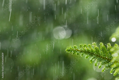 Photos Various views of the monsoon season