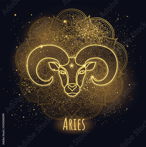 Colorful zodiac sign aries vector lineart. photo