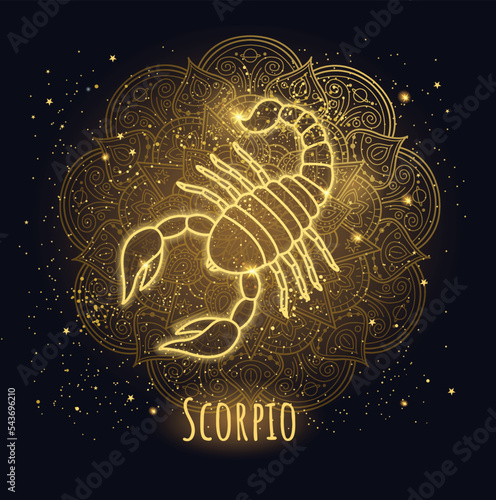 Colorful zodiac sign scorpio vector lineart.