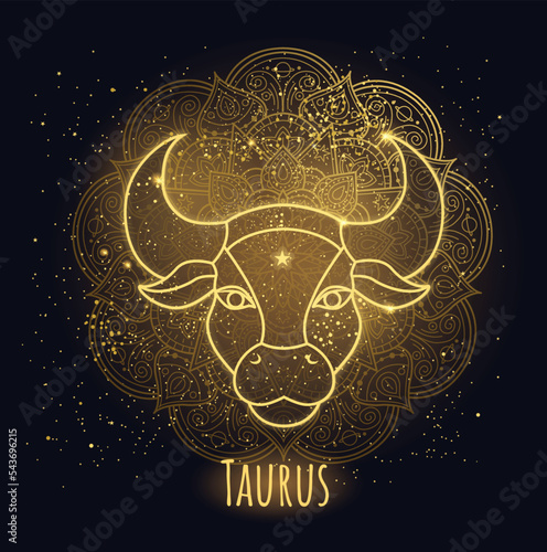 Colorful zodiac sign taurus vector lineart.