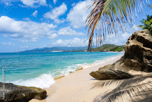 Fototapeta Naklejka Na Ścianę i Meble -  Caribbean beach with palm trees