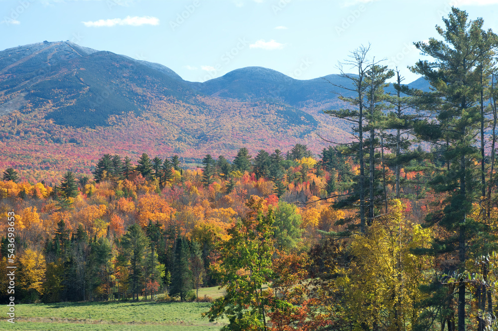 Vibrant autumn colors in White Mountain National Forest of New Hampshire. Tall peaks of Franconia Mountain Range with dusting of snow on summit of Cannon Mountain (far left).