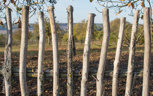 Rural wooden fence. Background from vertical logs.