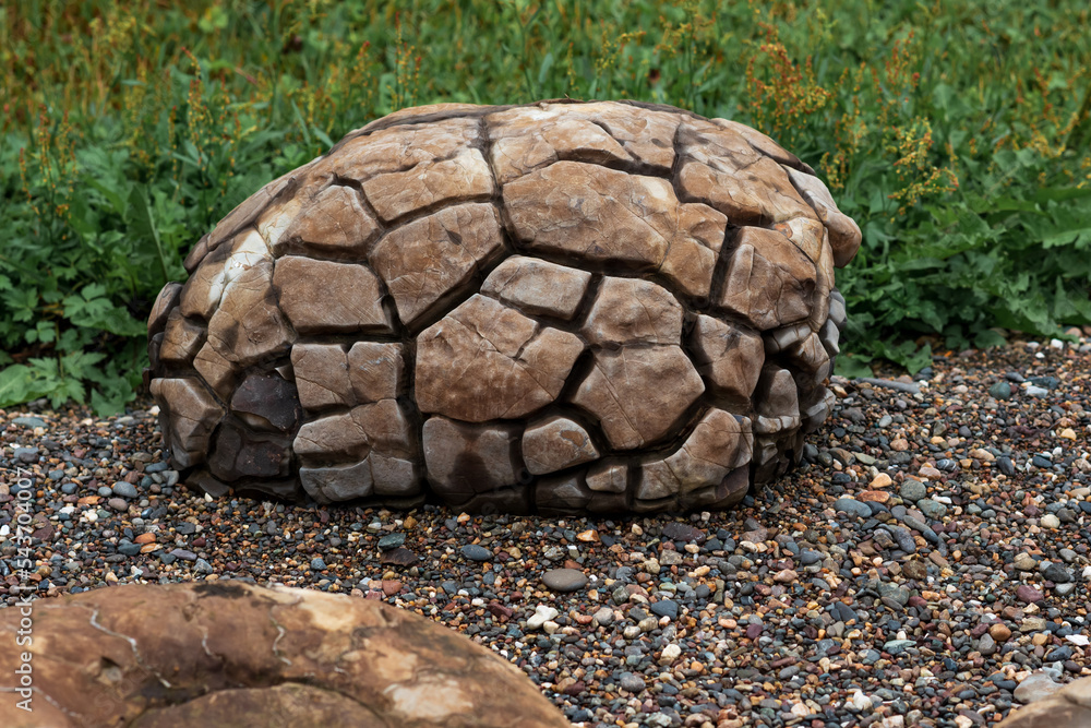 large concretion with a fissured surface formed in marine sediments large concretion with a fissured surface formed in marine sediments
