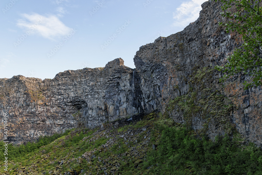 the famous horseshoe canyon in Ásbyrgi, Iceland