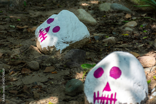Rocks decorated as skulls with paint festival of the day of the dead in Mexico