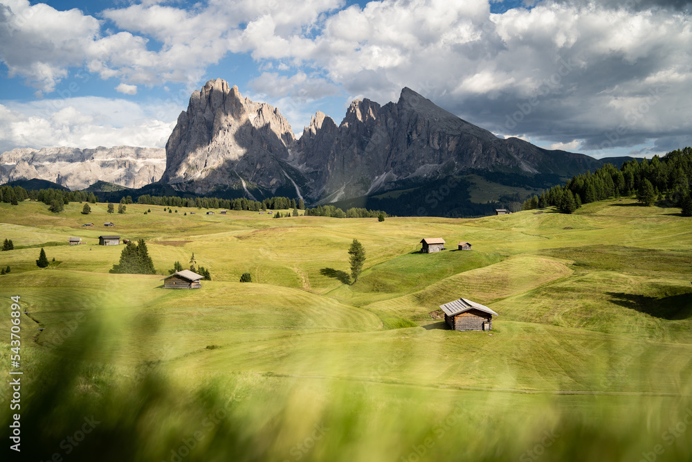 Mount Sassolungo and the rolling hills of Seiser Alm, during a sunny summer afternoon, Northern Italy