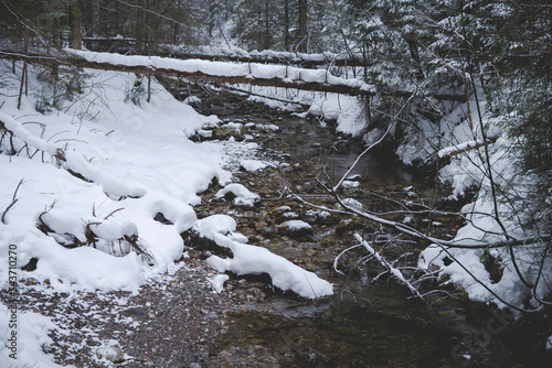 Strazyski stream in Tatra National Park in Poland during winter season photo