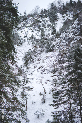 Steep hill in Strazyska Valley in Tatra Mountains photo