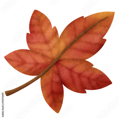 autumn leaf