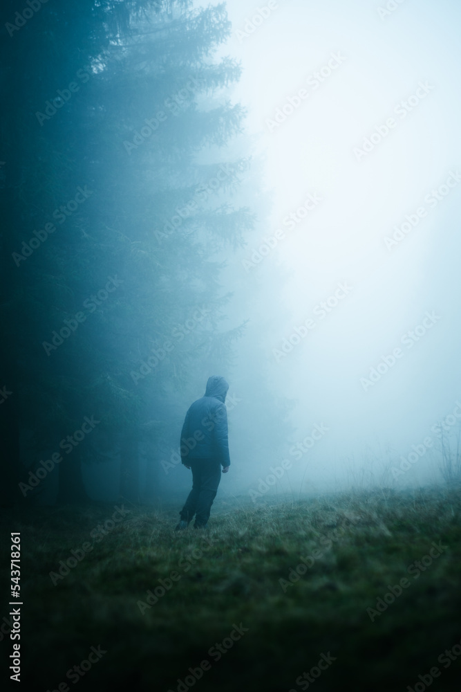 Exploring a foggy forest during autumn and playing with different colors for the sky and ambience Exploring a foggy forest during autumn and playing with different colors for the sky and ambience