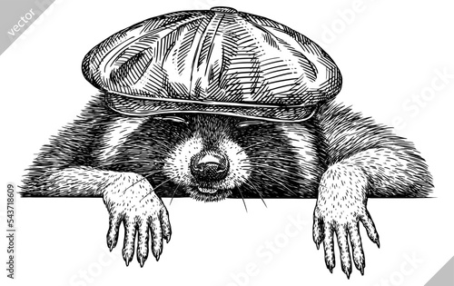 Vintage engrave isolated dressed fashion raccoon set illustration costume cut ink sketch. Wild pet background line glasses hipster hat racoon vector art