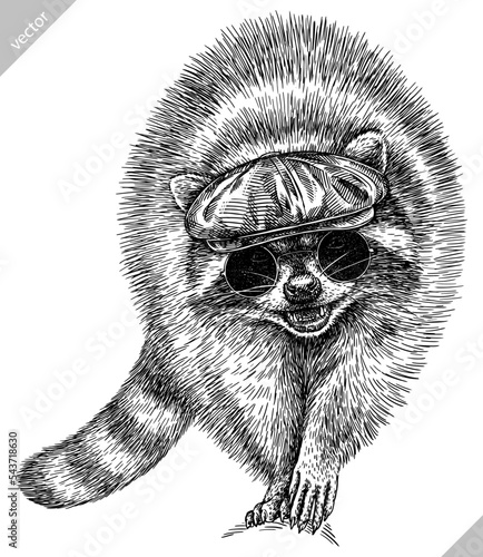 Vintage engrave isolated dressed fashion raccoon set illustration costume cut ink sketch. Wild pet background line glasses hipster hat racoon vector art