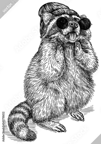 Vintage engrave isolated dressed fashion raccoon set illustration costume cut ink sketch. Wild pet background line glasses hipster hat racoon vector art