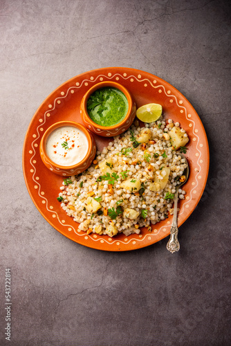 Sabudana Khichadi - An authentic dish from Maharashtra made with sago seeds, served with curd photo