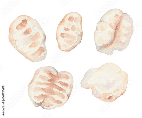 Watercolor Korean Puffed Rice snacks set. Popped Rice. Crispy puffed rice. Traditional Korean Puffed Rice Snack. Korean street food