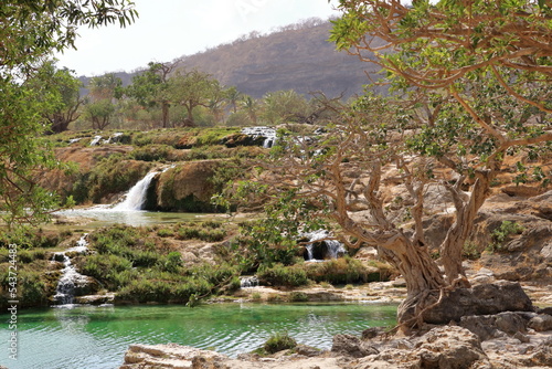 Darbat waterfalls near Salalah, Sultanate of Oman photo