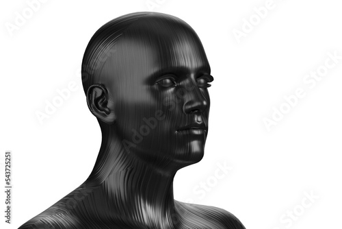 3d illustration of a male bald black head on a white background. Dummy.