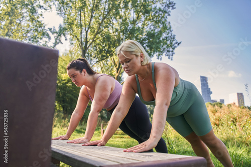 Caucasian plus size women in sportive clothes making plank together at the summer park