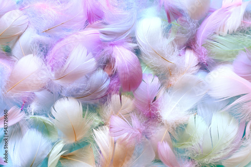 Принти на полотні Angelic pastel tinted blue feather background - small fluffy blue feathers rando
