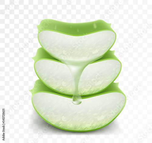 Essence from aloe vera plant drips from stem. Aloe Vera collagen Serum Skin Care Cosmetic. Realistic 3d vector illustration isolated on transparent background