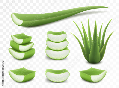 Set of Aloe Vera, realistic green plant, leaves and cut pieces, isolated on transparent background, 3d vector illustration. Template packaging label skin care products design.