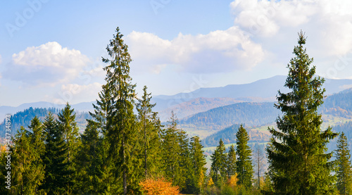 Scenic mountain landscape with autumn forests, mountain peaks on the horizon and blue sky. Carpathians Ukraine. Wide photo.